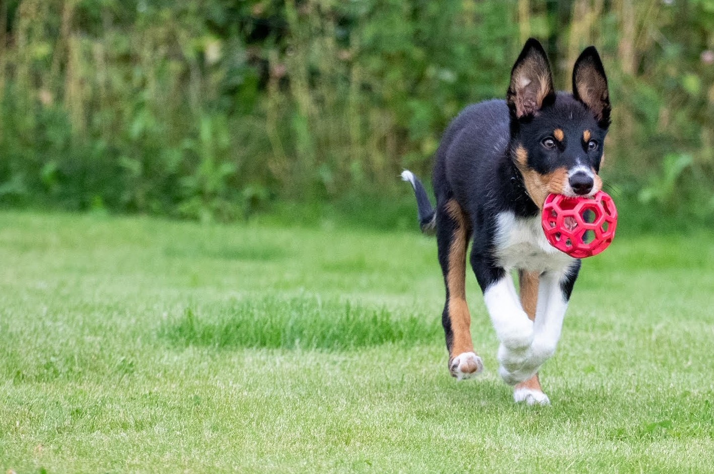 VÅRA BUTIKER Hitta till oss! 