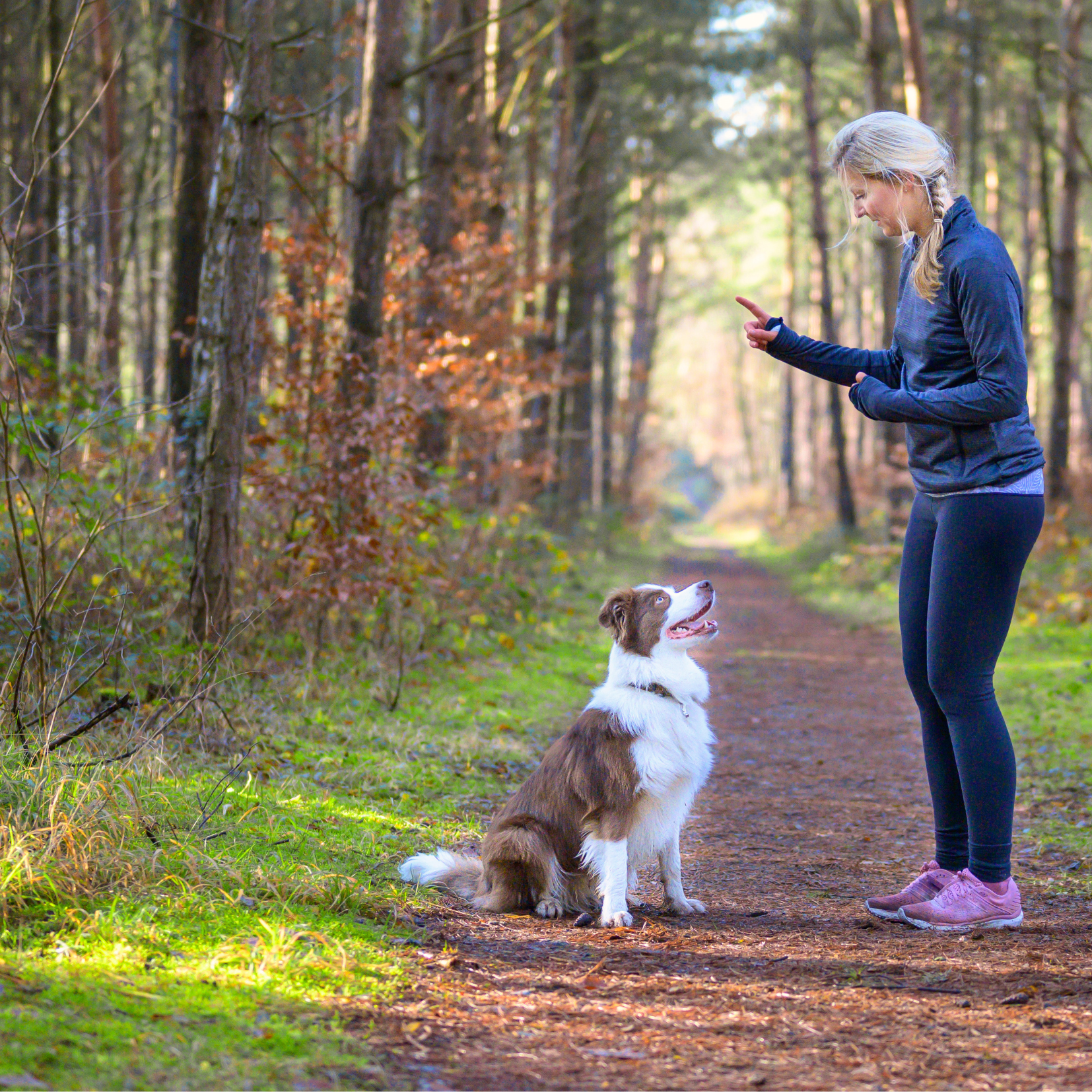 HUNDKURS För glädje, lek och lärande! 