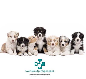 KOSTTILLSKOTT