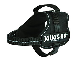 Julius K9 Sele