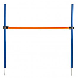 AGILITY