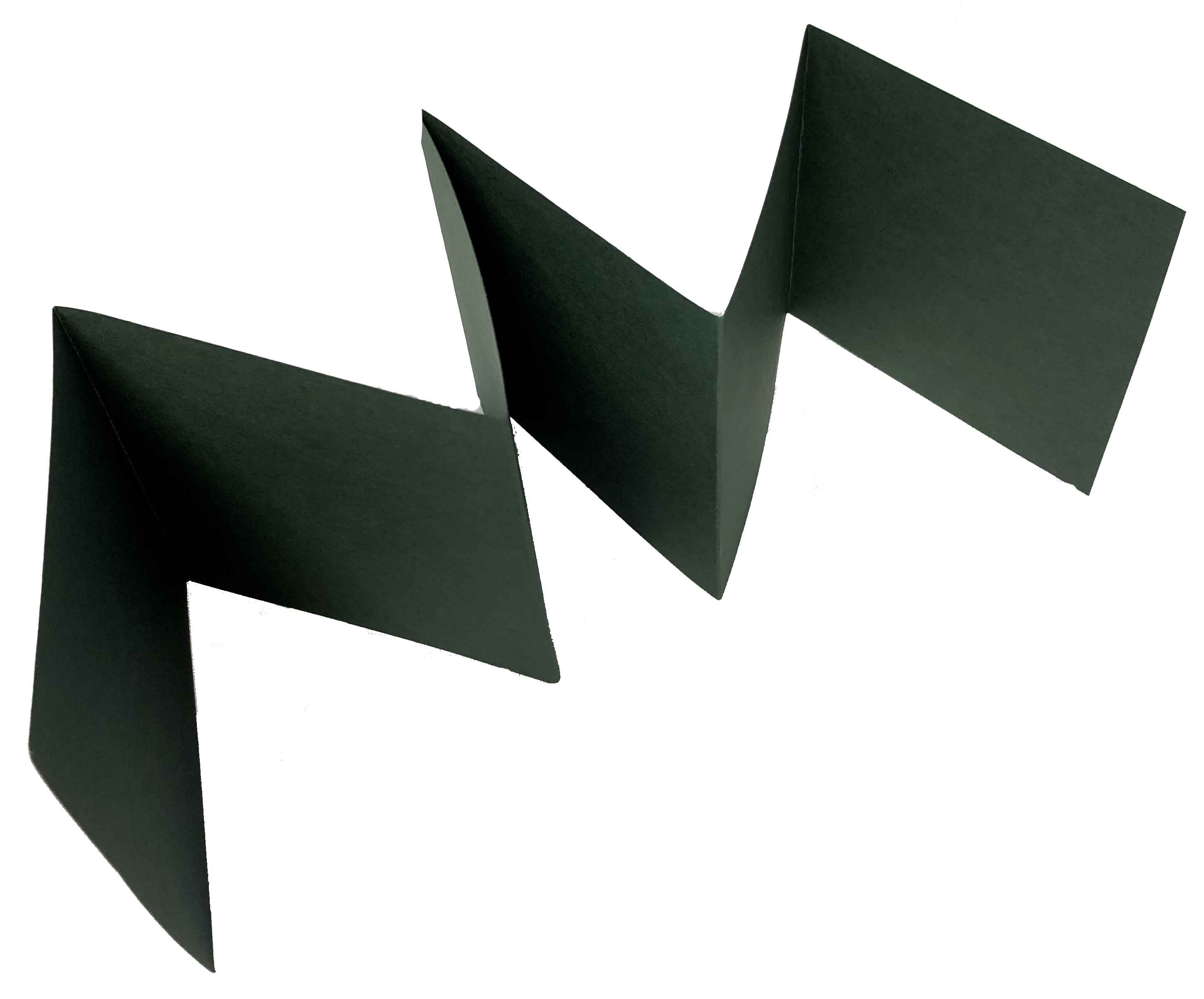Accordion Cardstock Dark Green - 2