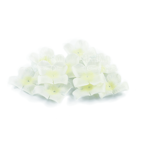 Blommor Creme 