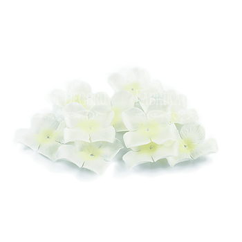 Blommor Creme 