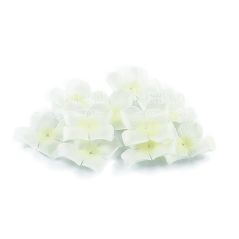 Blommor Creme 