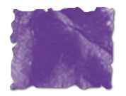 DIS57 Wilted Violet