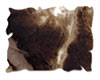 DISR05 Walnut Stain