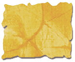 Refill Fossilized Amber