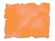 Refill Carved Pumpkin