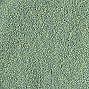 EP64 Palm Green