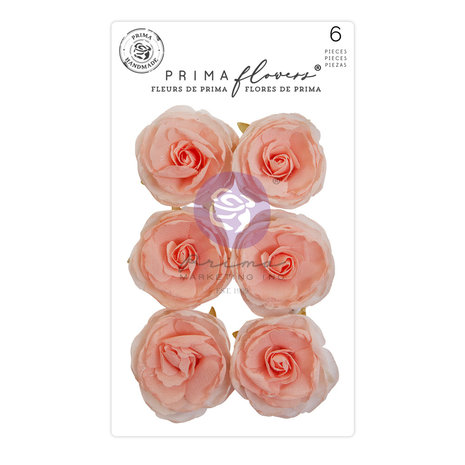 The Plant Department Flowers Peachy Keen (6pcs)