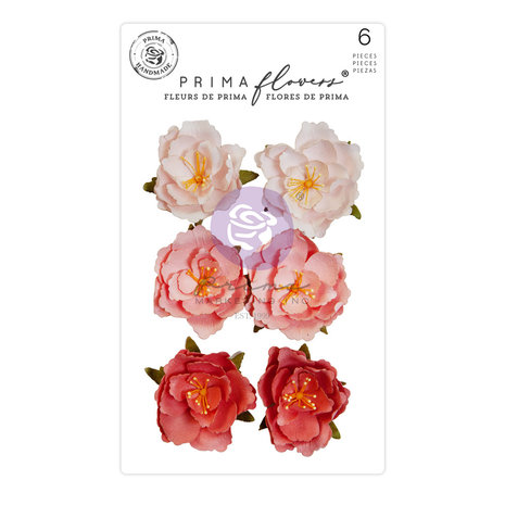 The Plant Department Flowers Rooted (6pcs)
