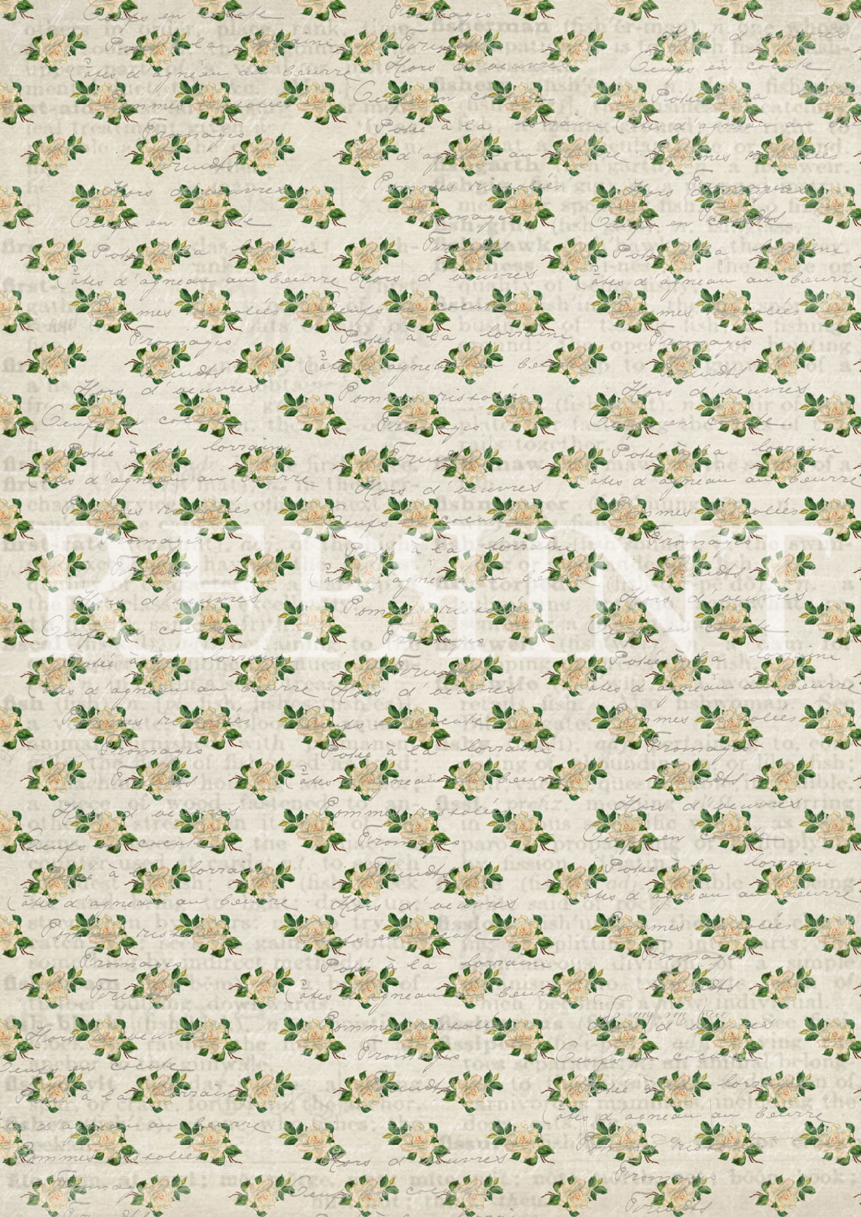 White Roses A4 5 sheets