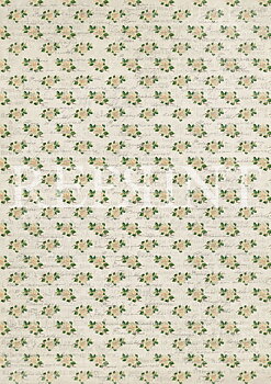 White Roses A4 5 sheets