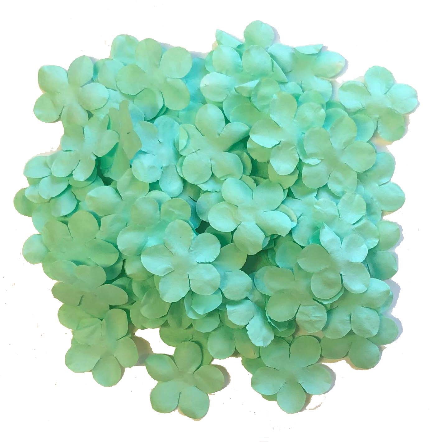 Pappersblommor 100 st Mint