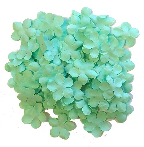 Pappersblommor 100 st Mint