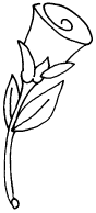 Klockblomma I