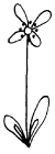 Pinnblomma