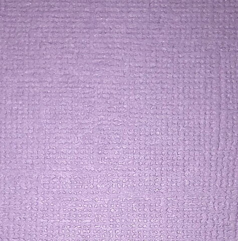  Cardstock Wisteria
