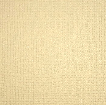 Big Pack Cardstock Vanilla 25pc