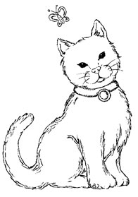  Katt