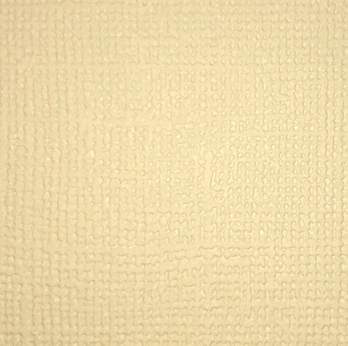  Cardstock Vanilla