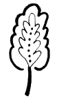 OMKD532 C Löv