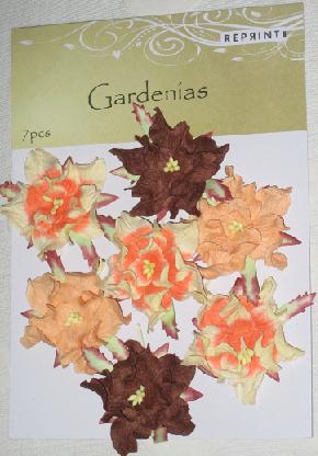 Gardenia Blommor