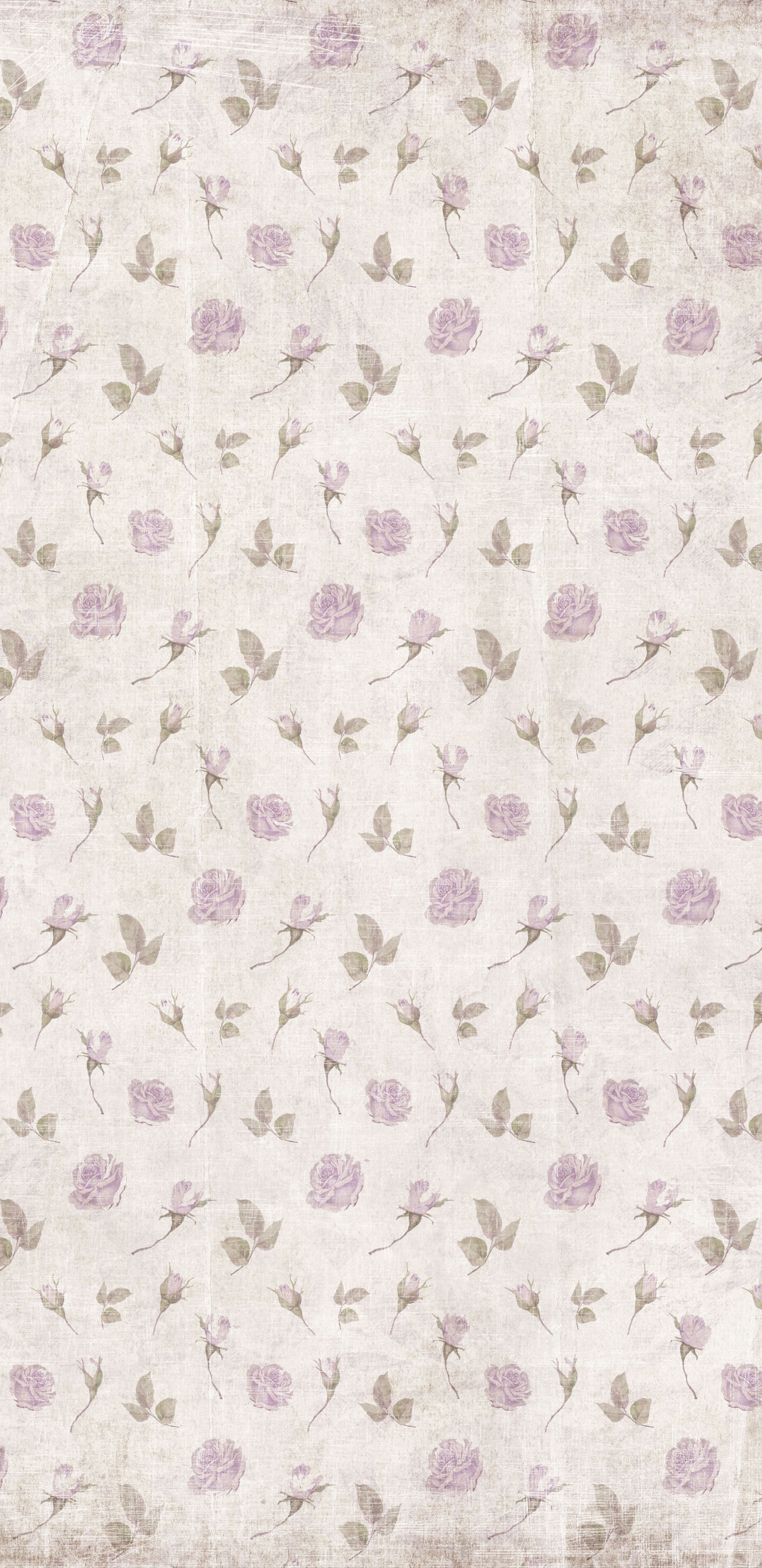 Slimline Provence  Collection pack  - 3