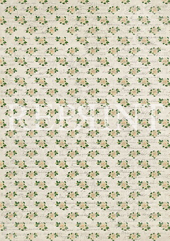 White Roses A4