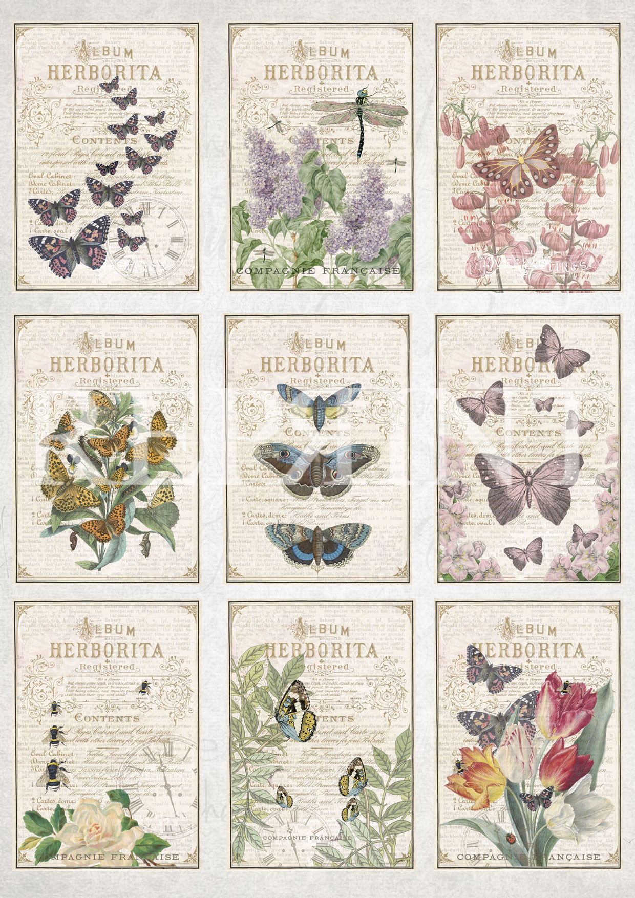 Klippark A4 - Butterflies