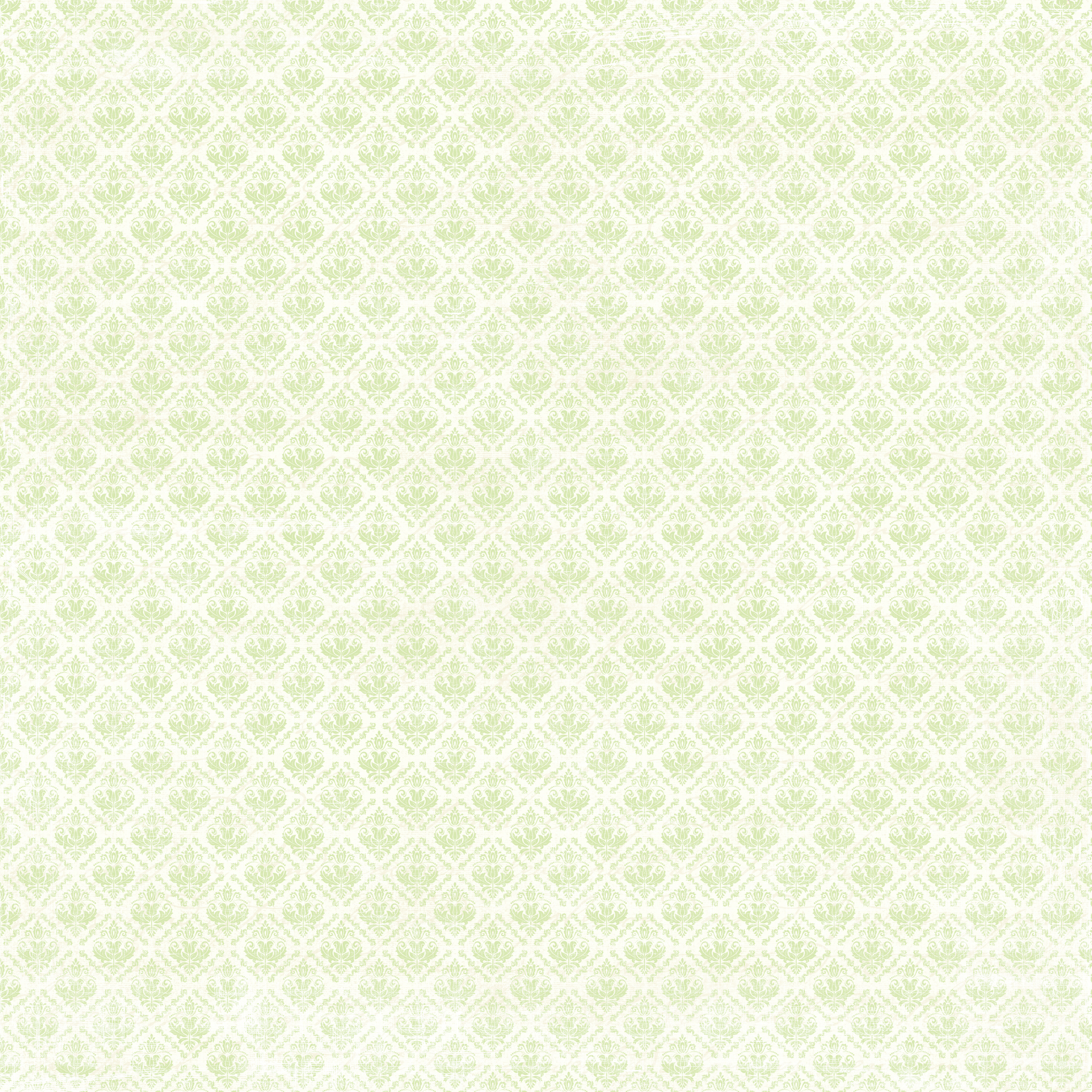 Basic  Collection Pack Damask 12 x12 "(30,5 x 30,5 cm) - 4