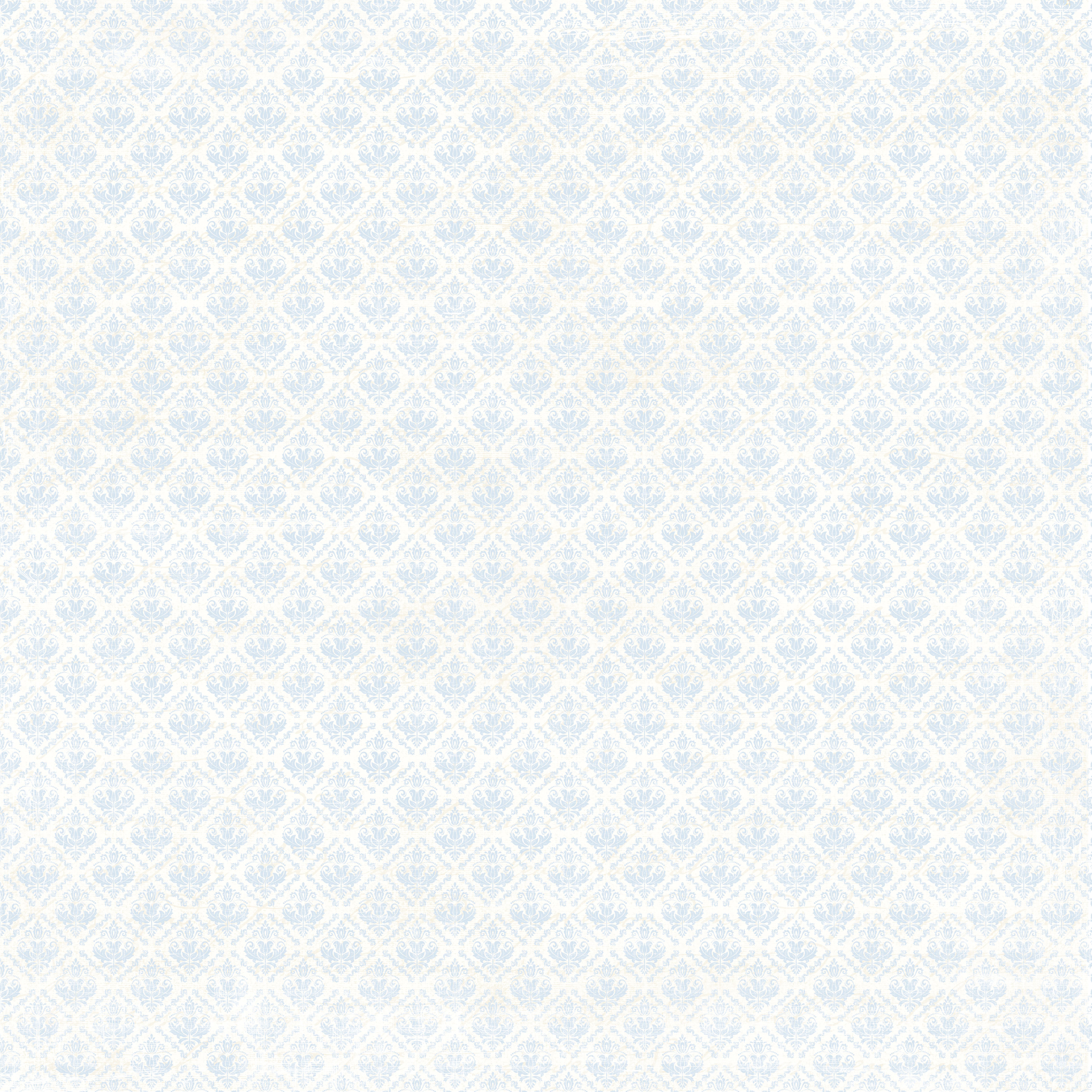 Basic  Collection Pack Damask 12 x12 "(30,5 x 30,5 cm) - 2