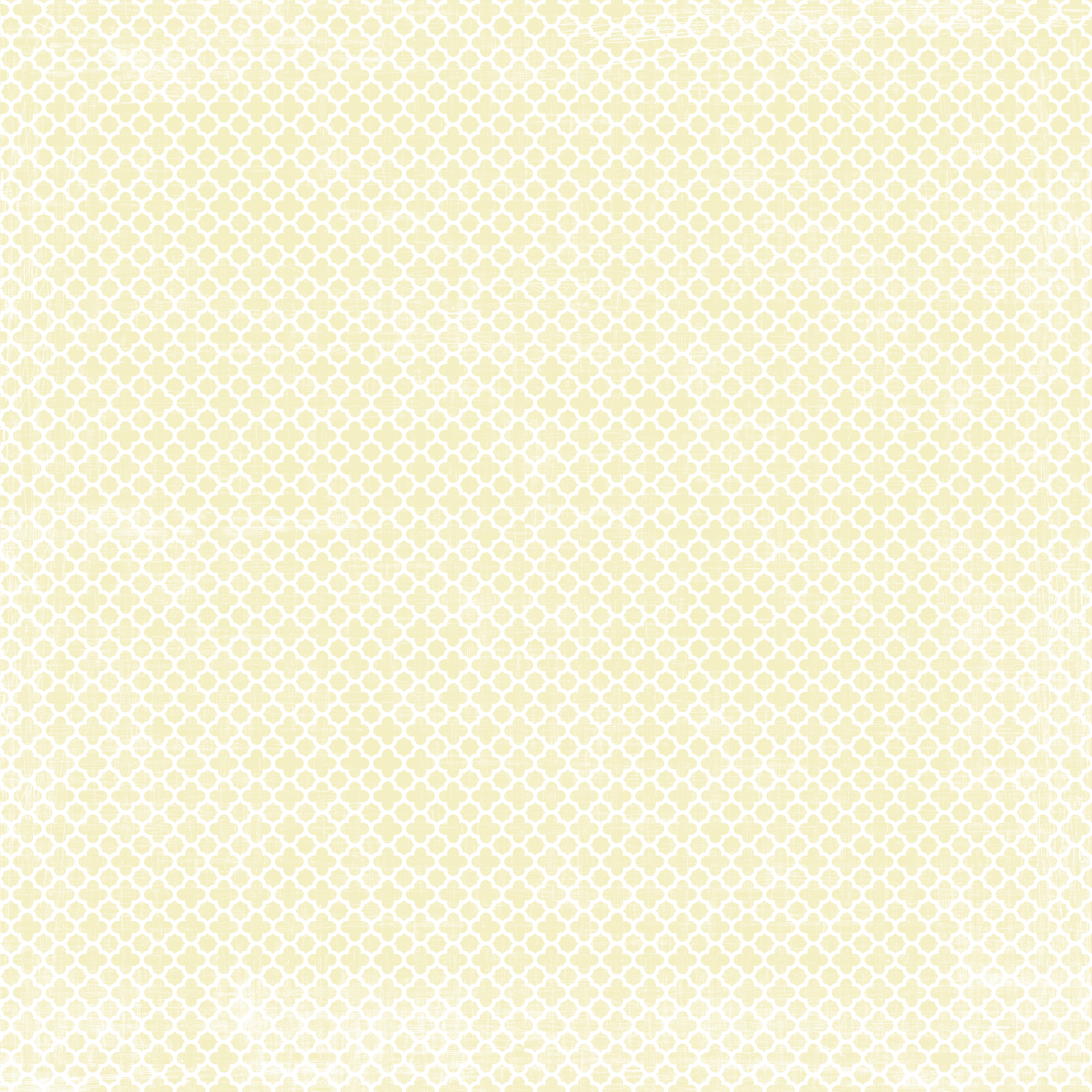 Basic  Collection Pack Damask 12 x12 "(30,5 x 30,5 cm) - 7