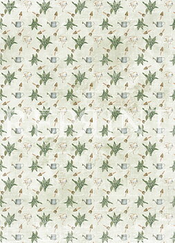 Vintage Garden  Collection pack A4