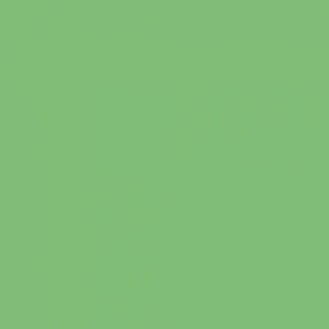 Cardstock A4 Grass Green 190gsm 10 ark smooth - 2