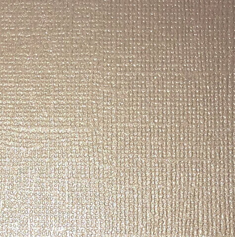  Cardstock Pearl Champagne