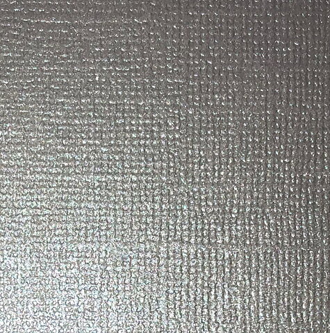  Cardstock Pearl Silver