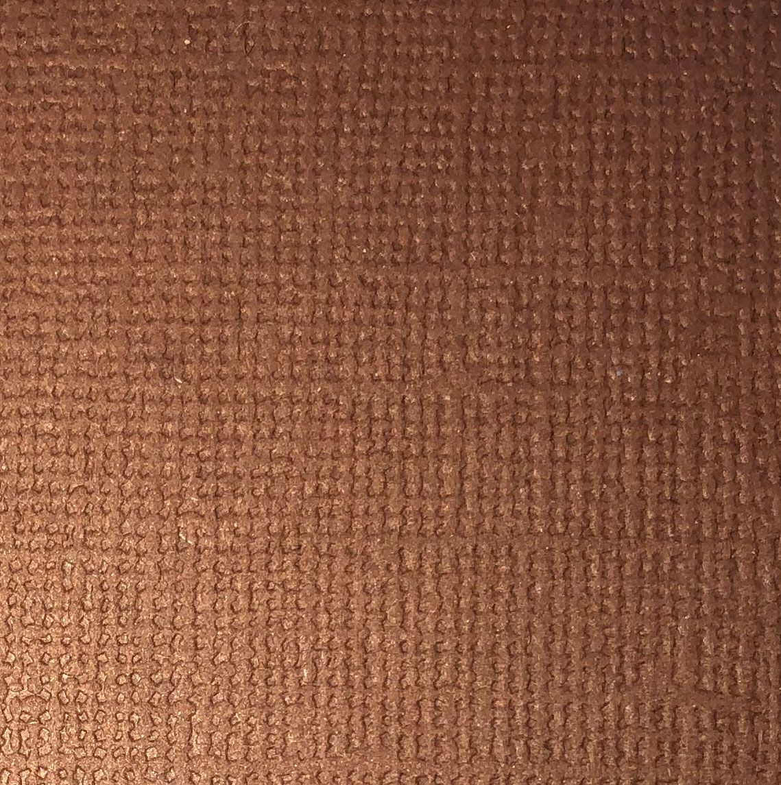  Cardstock Bark