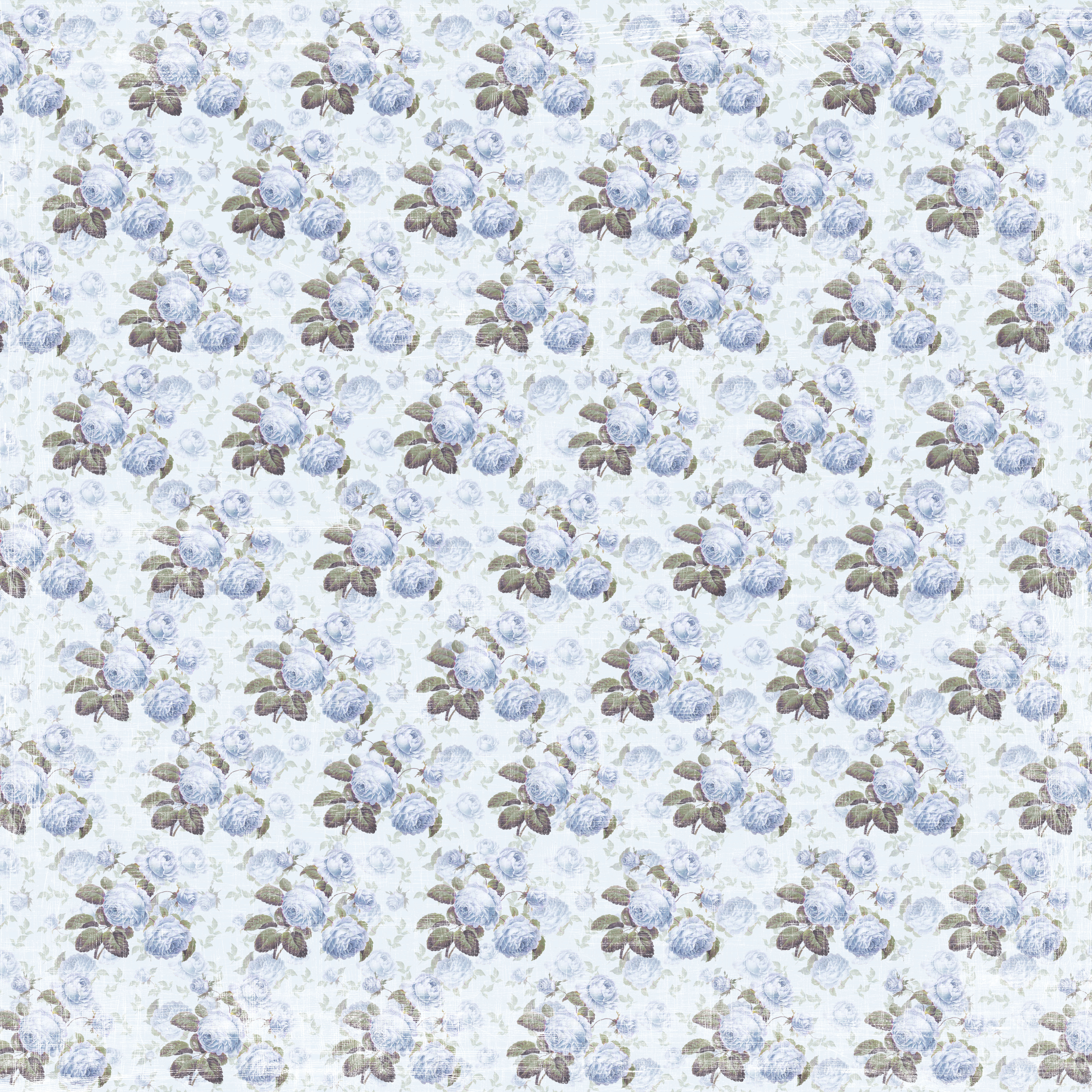 Blue Rose Romance Collection  -  Rose Bouquet