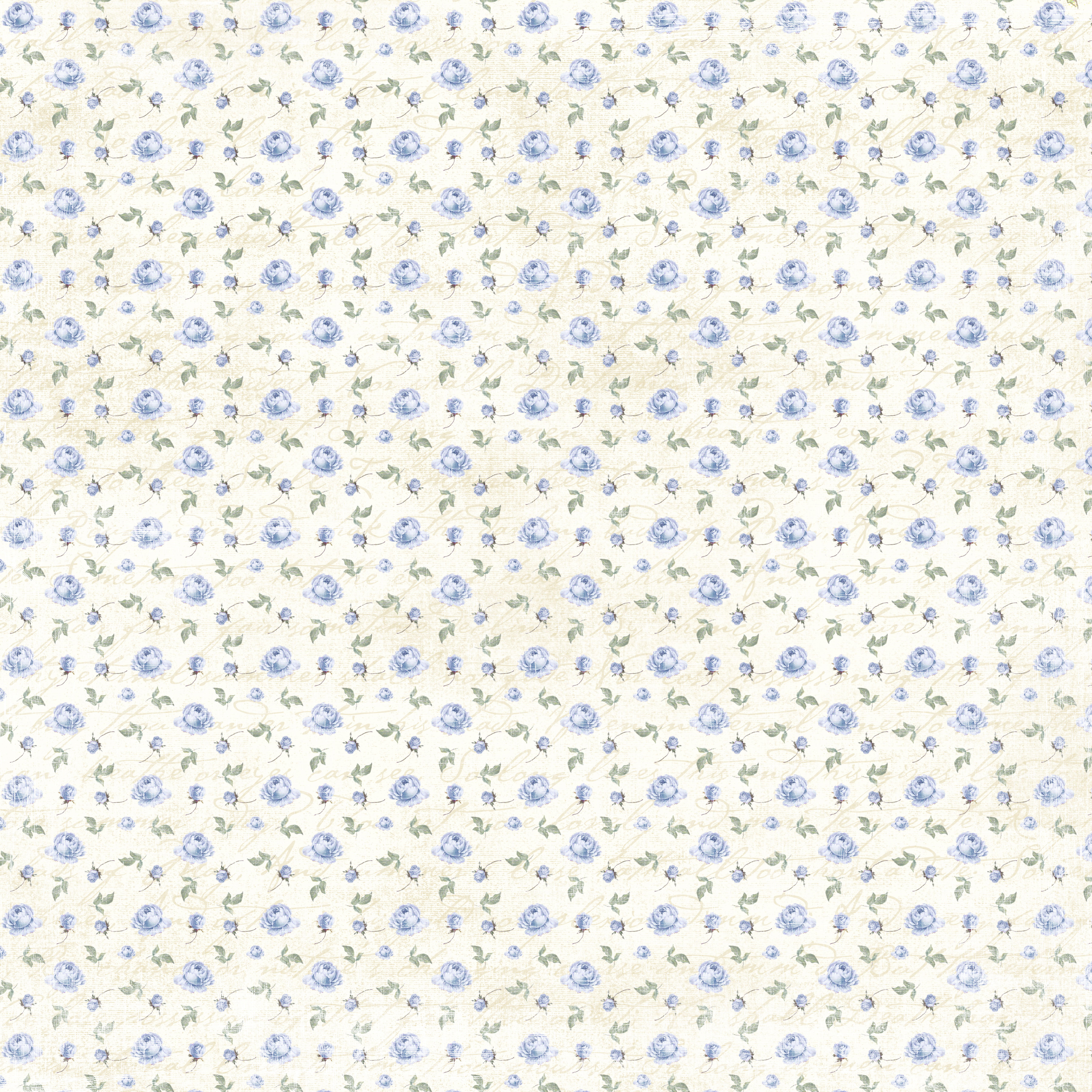 Blue Rose Romance Collection  -  Rose Love