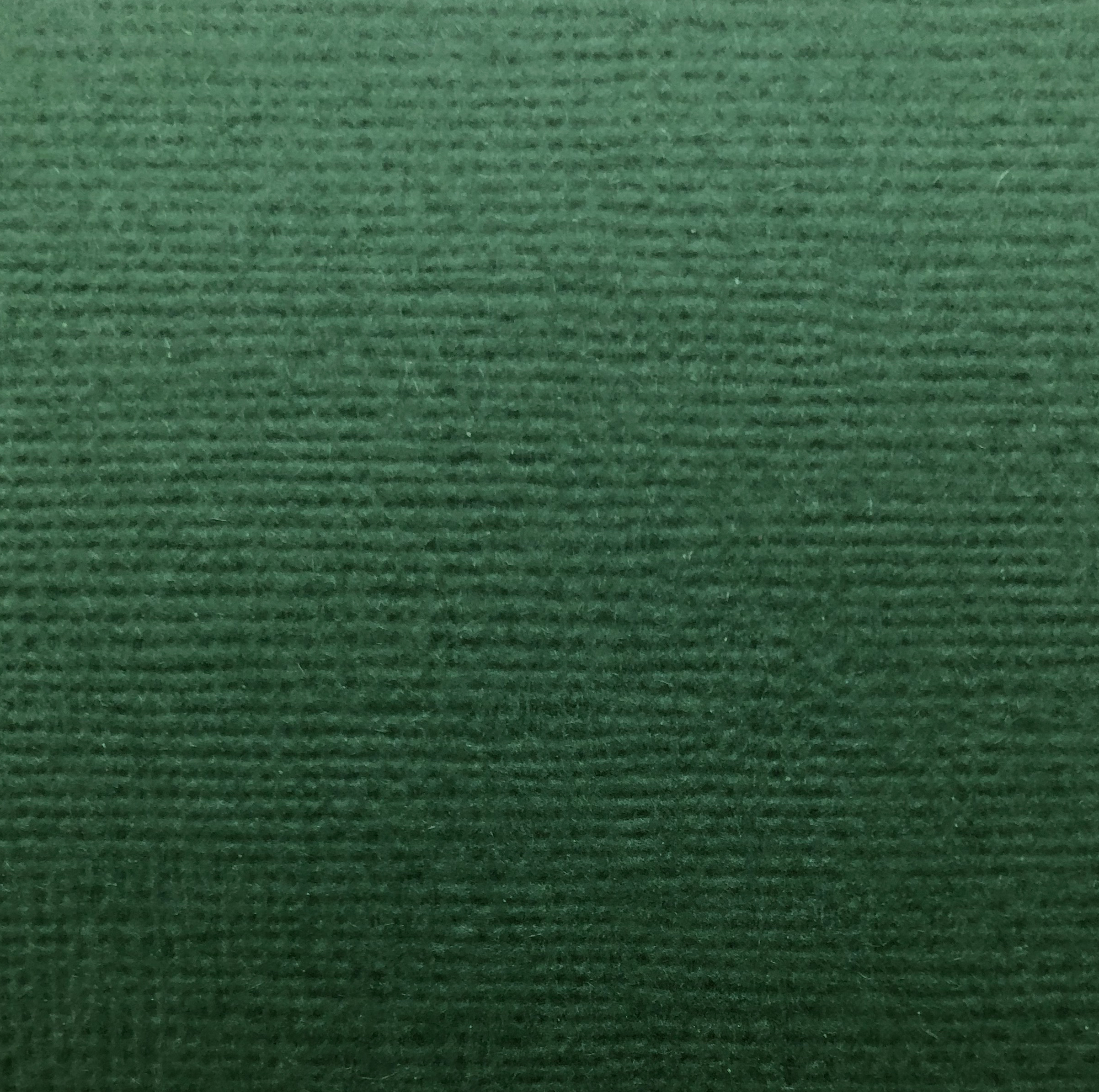   Cardstock Green
