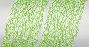 Band  Crispy  Lime 1 M