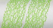 Band  Crispy  Lime 1 M