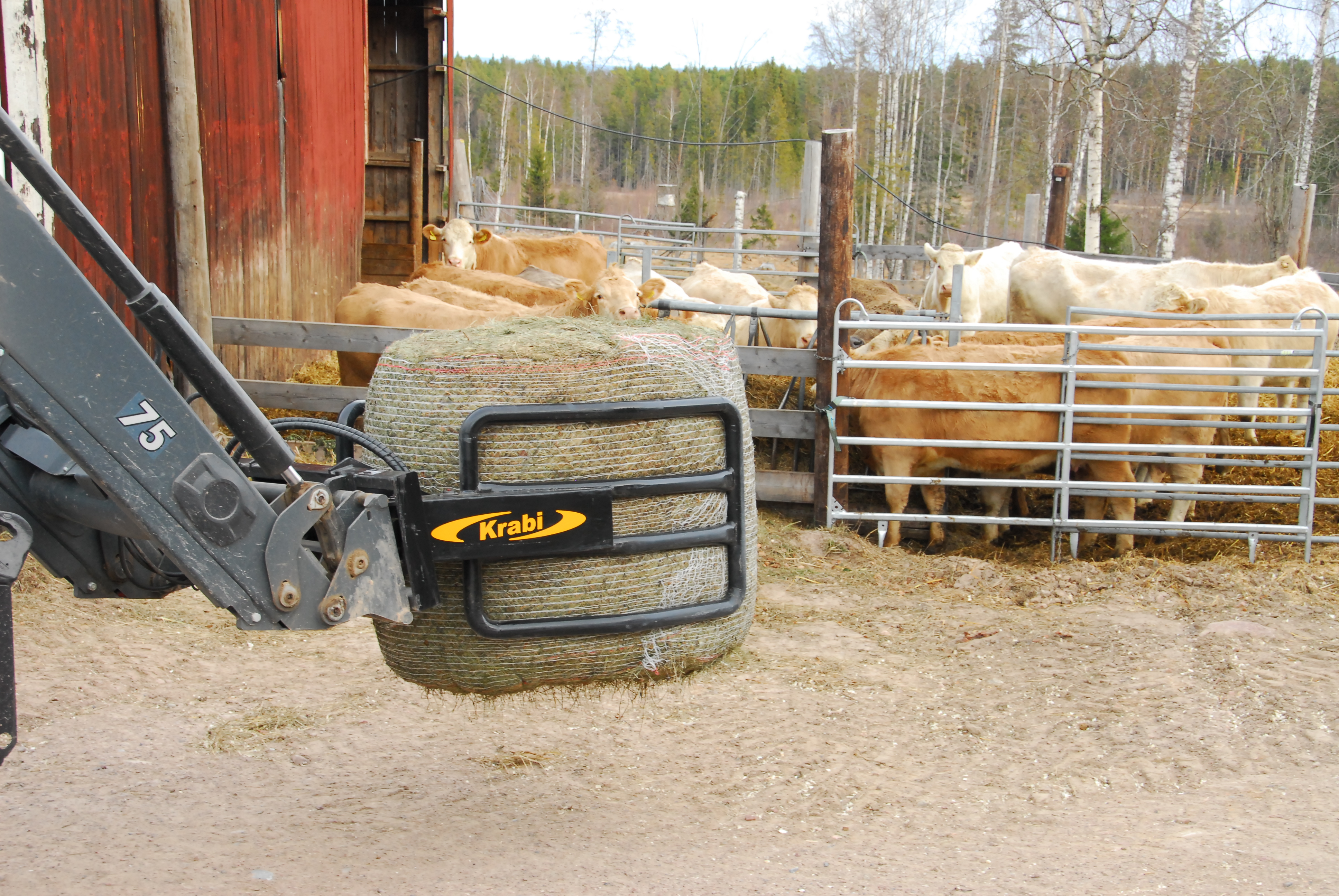 Balgrip - 2