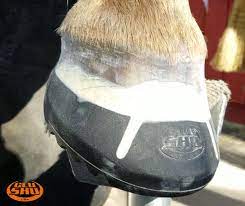 GUMMISKO - HÄSTSKO Glue-U GluShu Fram Mini, par - 2