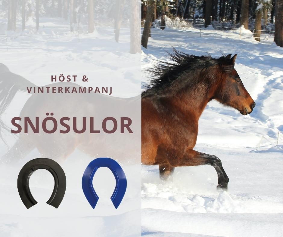 HÖST & VINTERKAMPANJ SNÖSULOR