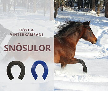 HÖST & VINTERKAMPANJ SNÖSULOR