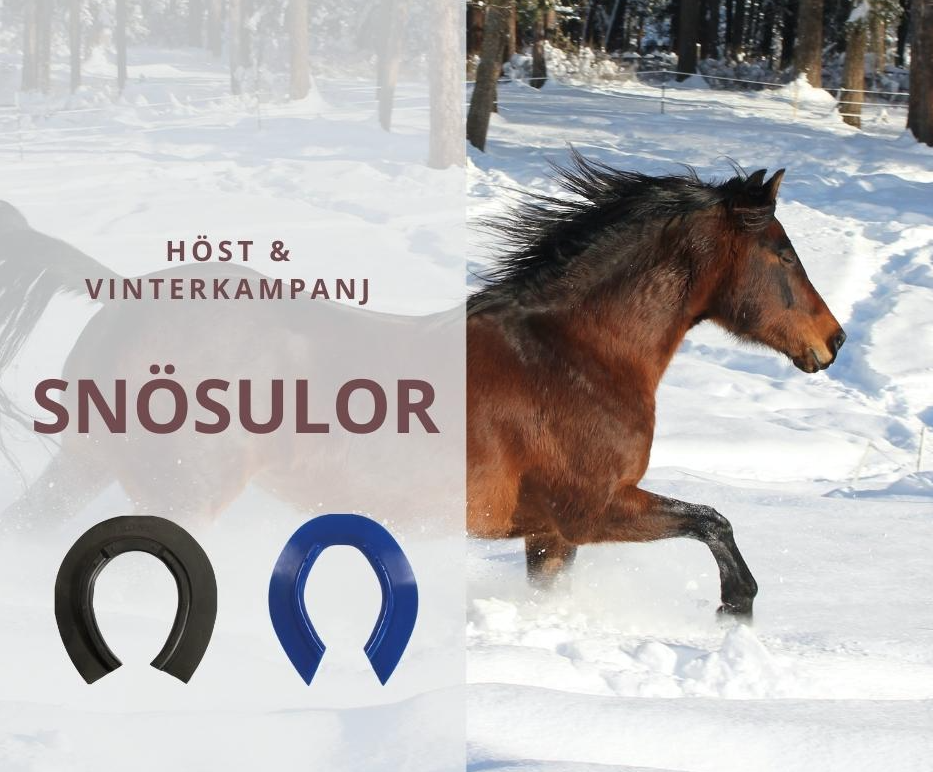 HÖST & VINTERKAMPANJ Snösulor 