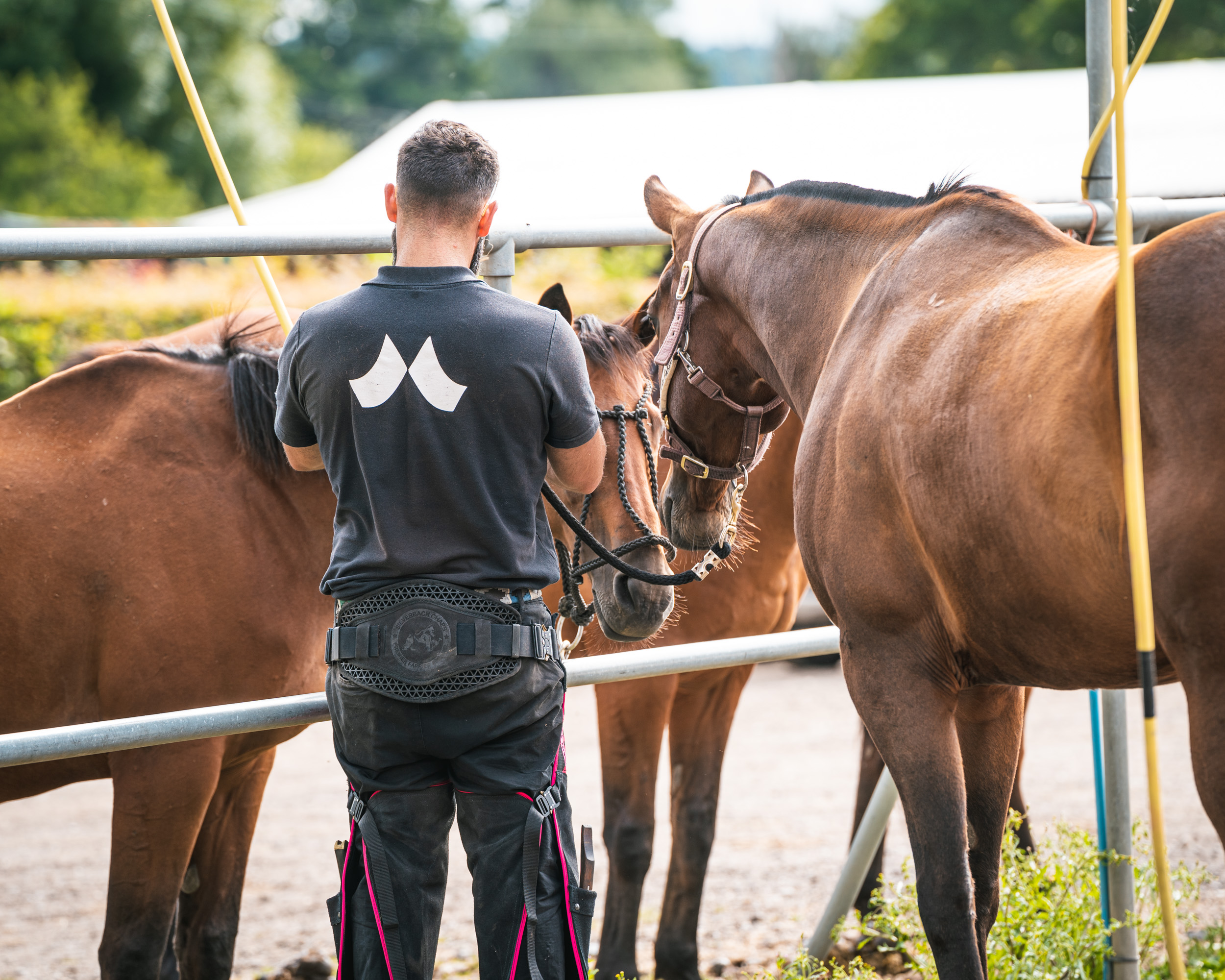 FR HOVSLAGERIPRODUKTER Vi erbjuder dig ett brett sortiment av hovslageriprodukter från marknadens ledande varumärken För Hovslagare av Hovslagare